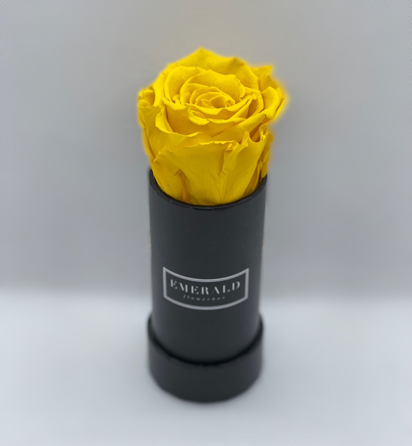 Yellow Citrine Round Edition Mini