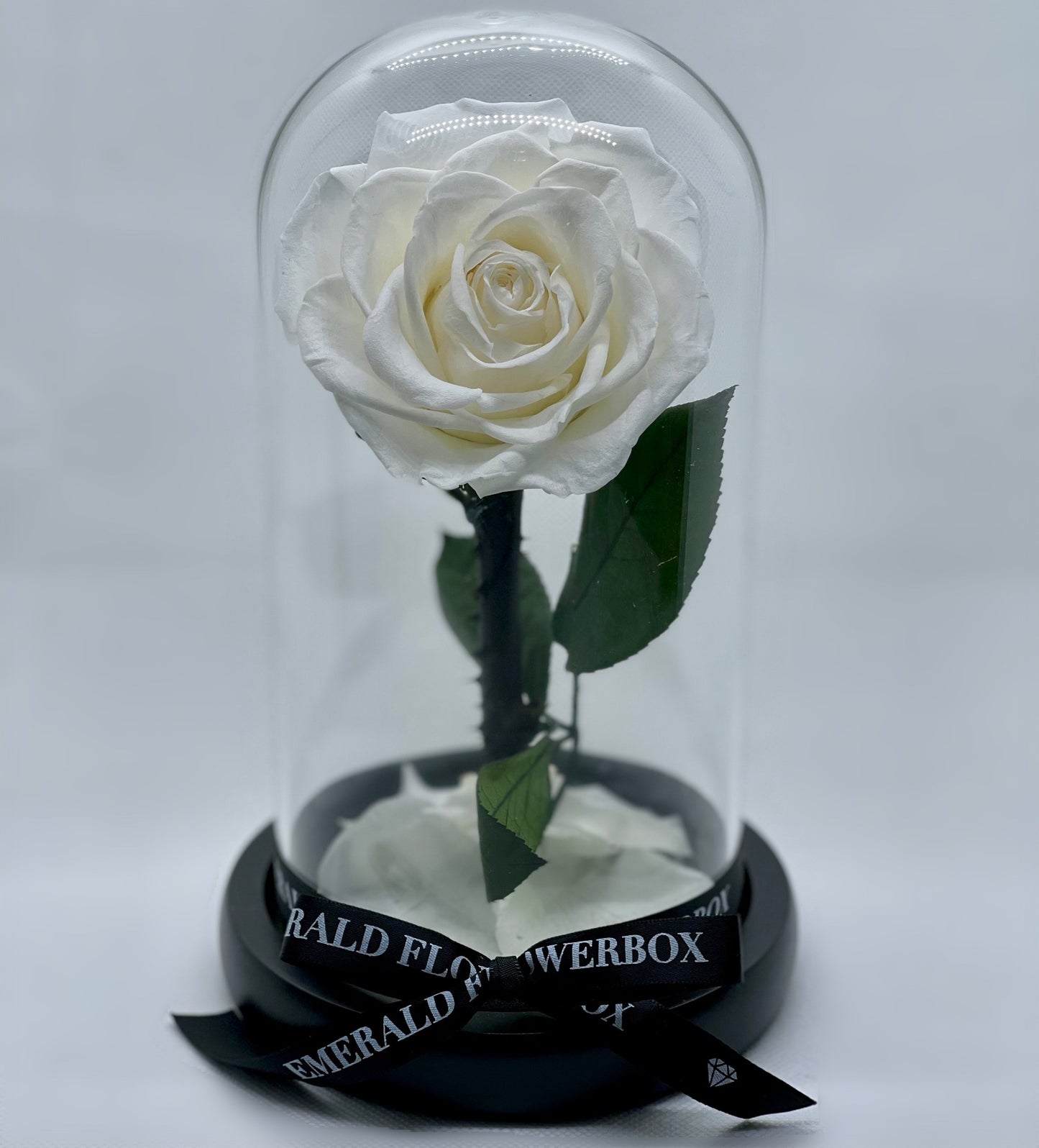 White Diamond Beauty & the Beast