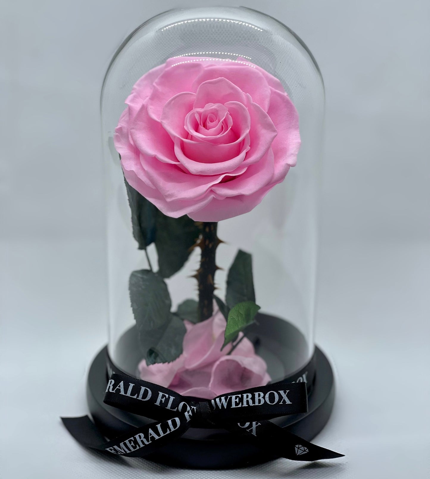 Pink Tourmaline Beauty & the Beast