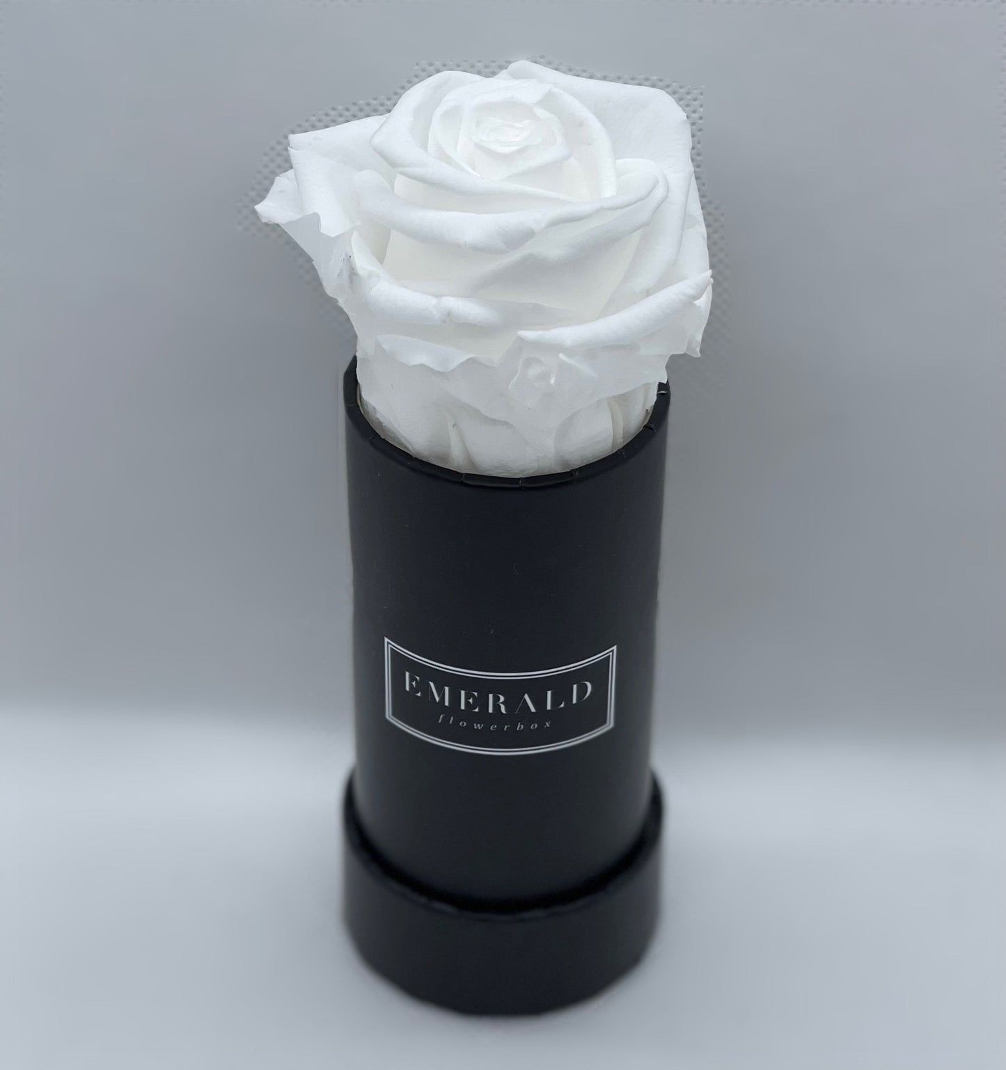 Bouquet de Rosas Preservadas Brancas