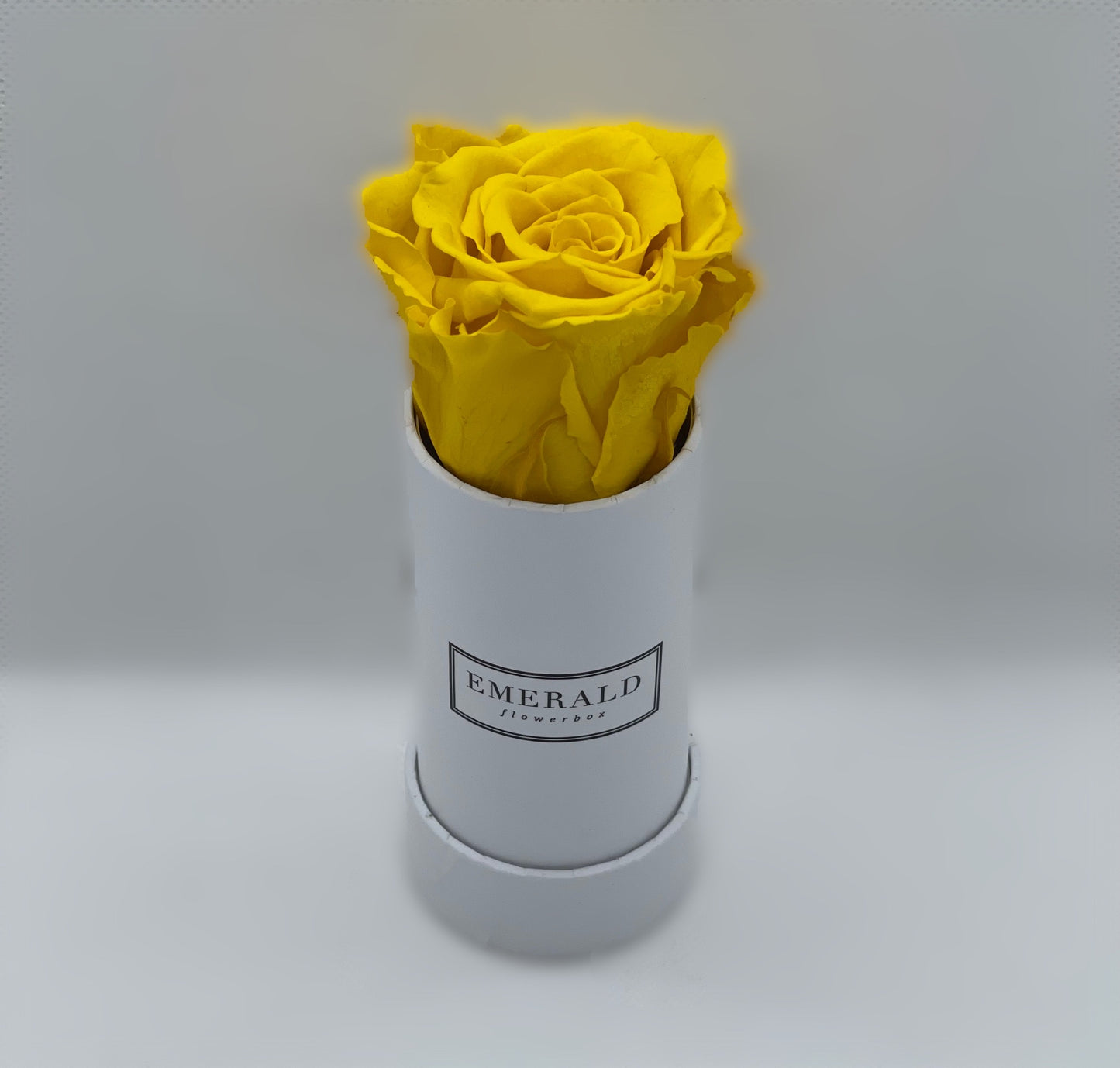 Yellow Citrine Round Edition Mini