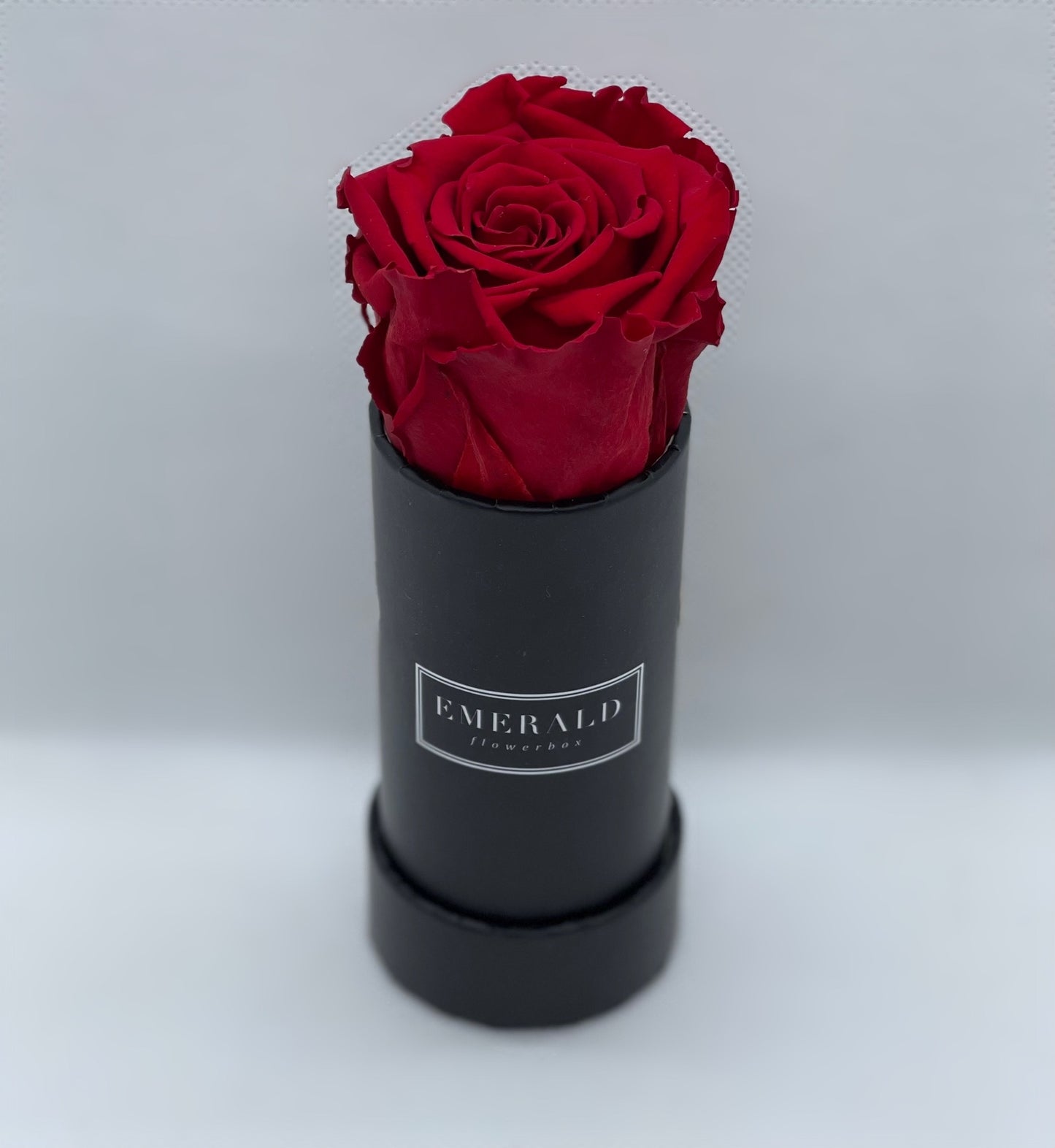 Bouquet de Rosas Preservadas Bordô