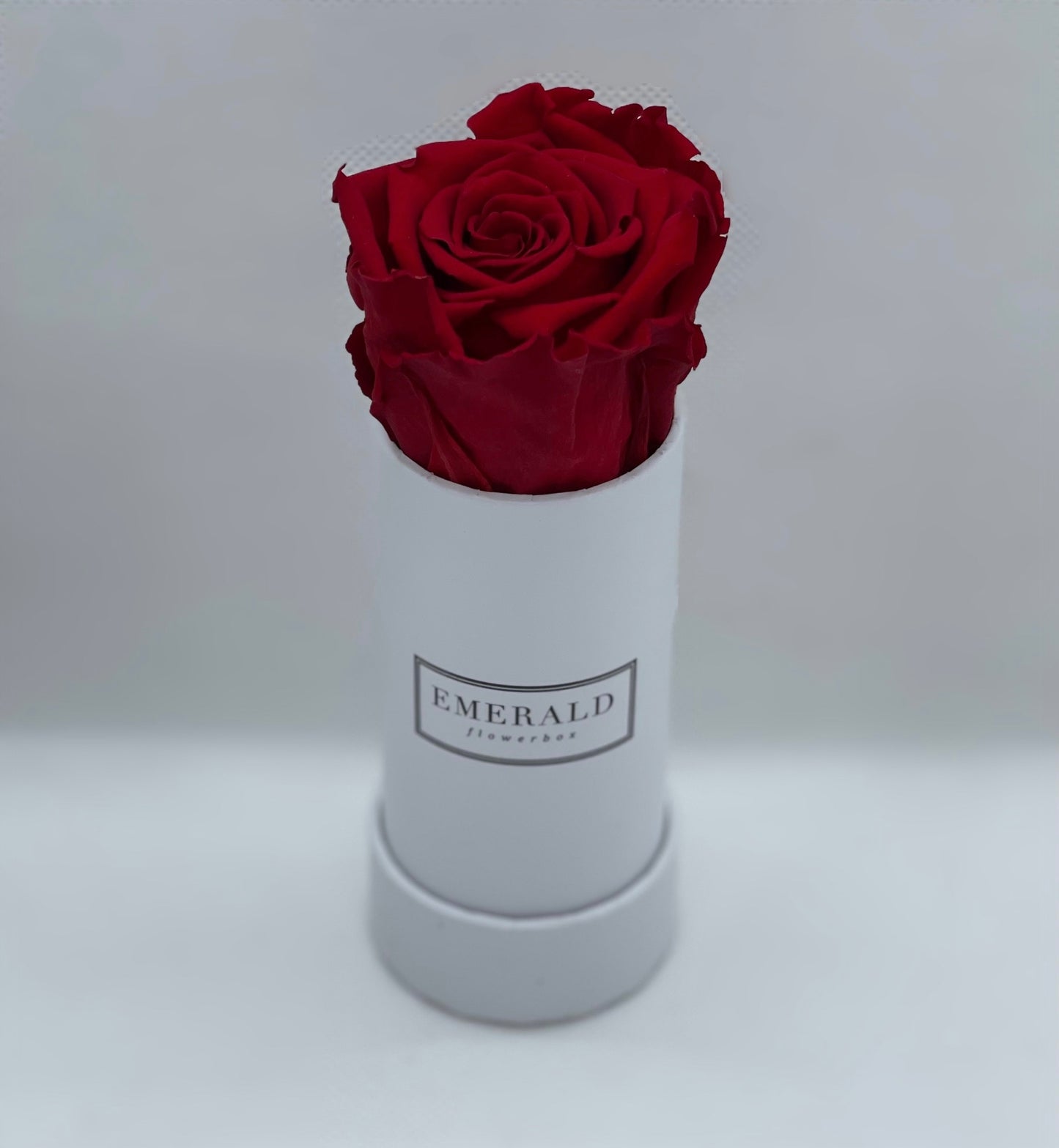 Bouquet de Rosas Preservadas Bordô