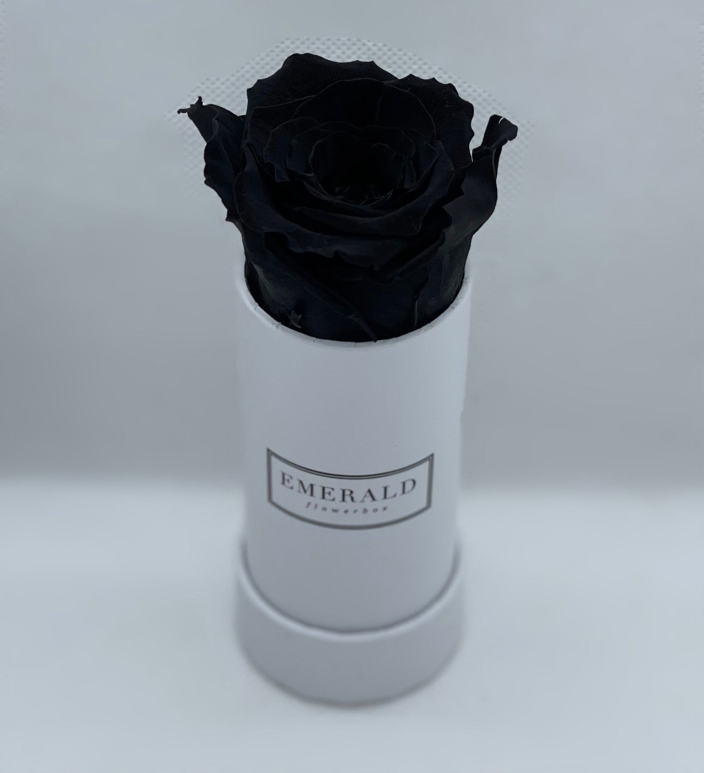 Bouquet de Rosas Preservadas Pretas