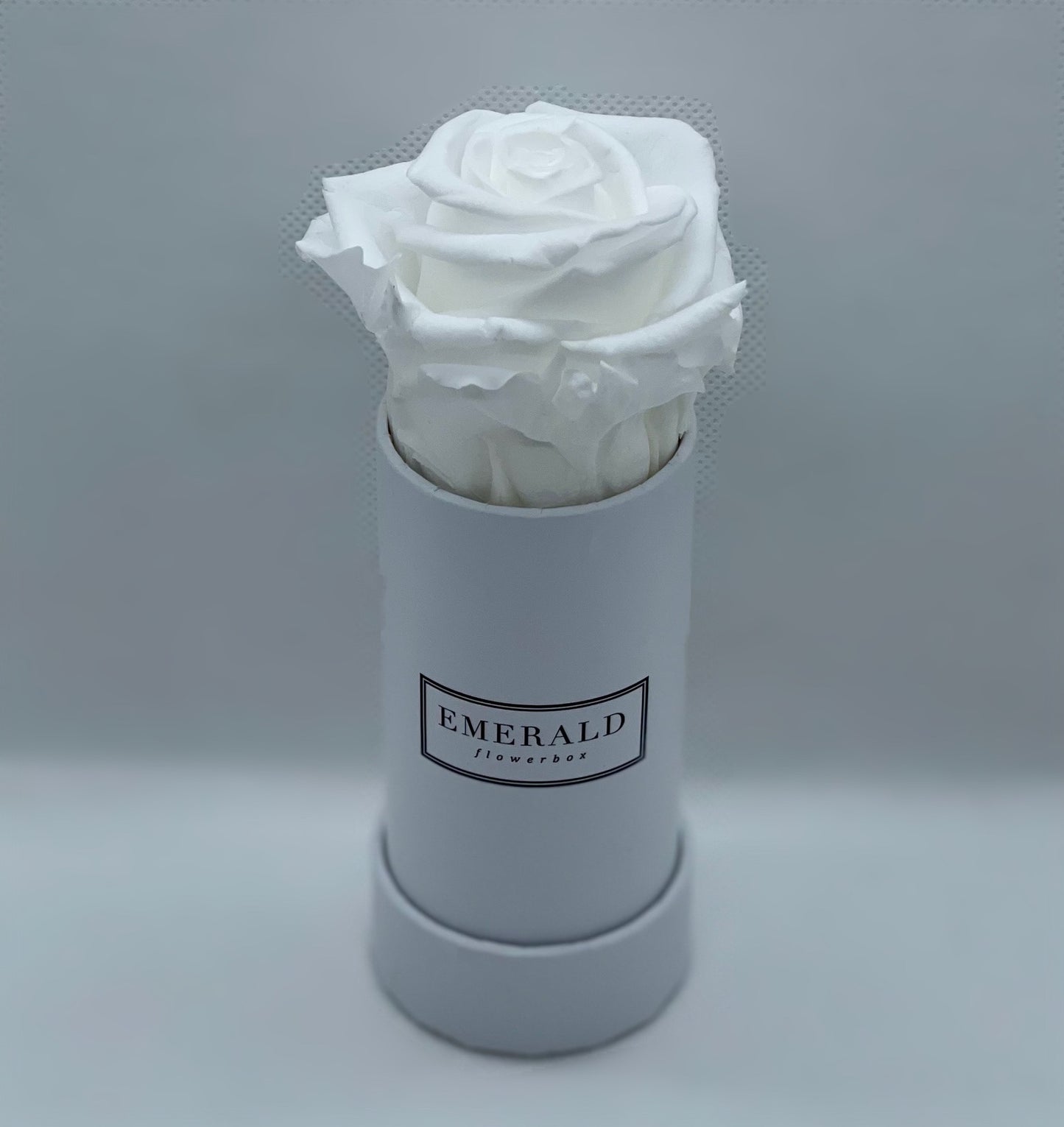 Bouquet de Rosas Preservadas Brancas