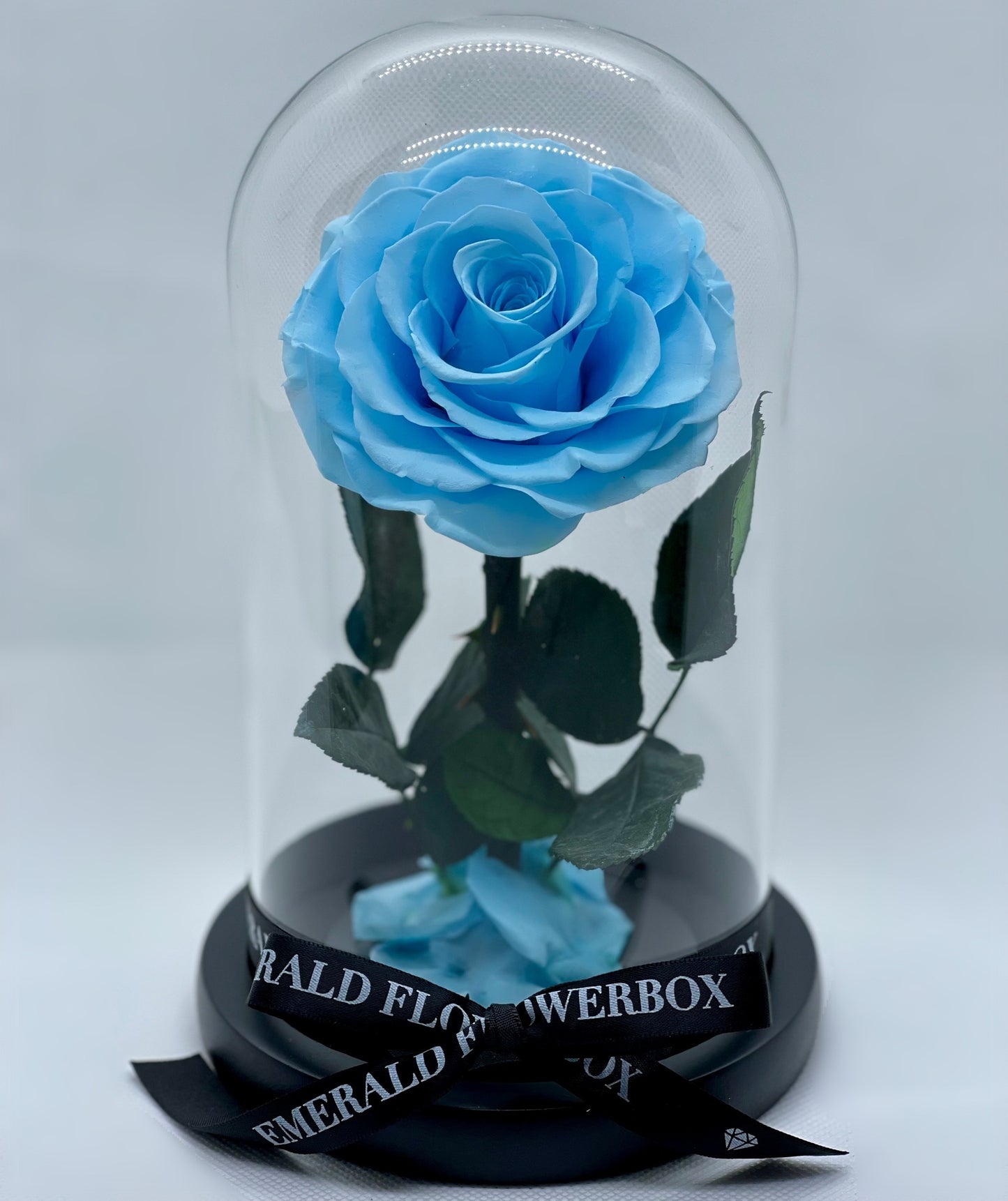 Blue Aquamarine Beauty & the Beast