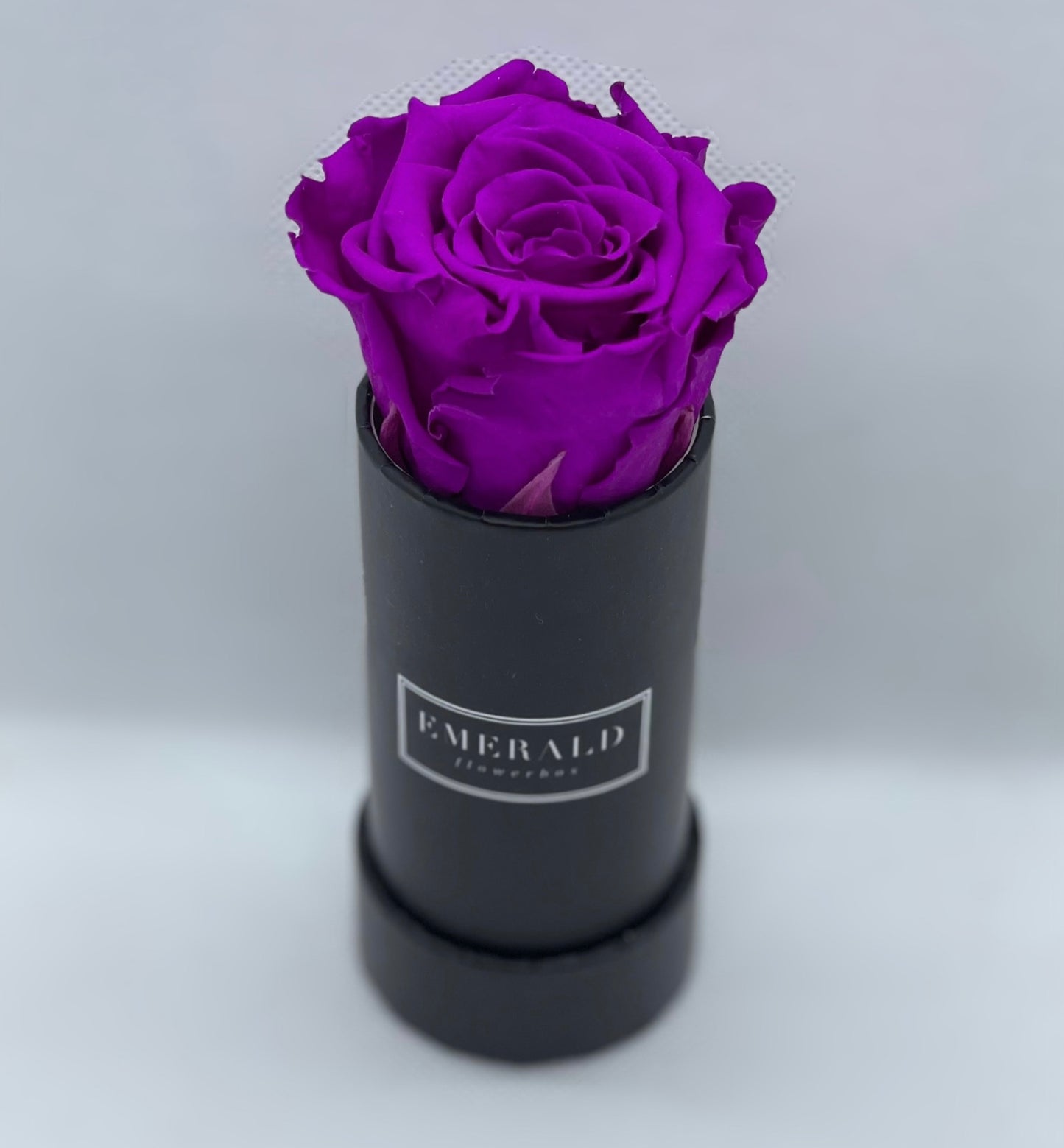 Bouquet de Rosas Preservadas Roxas