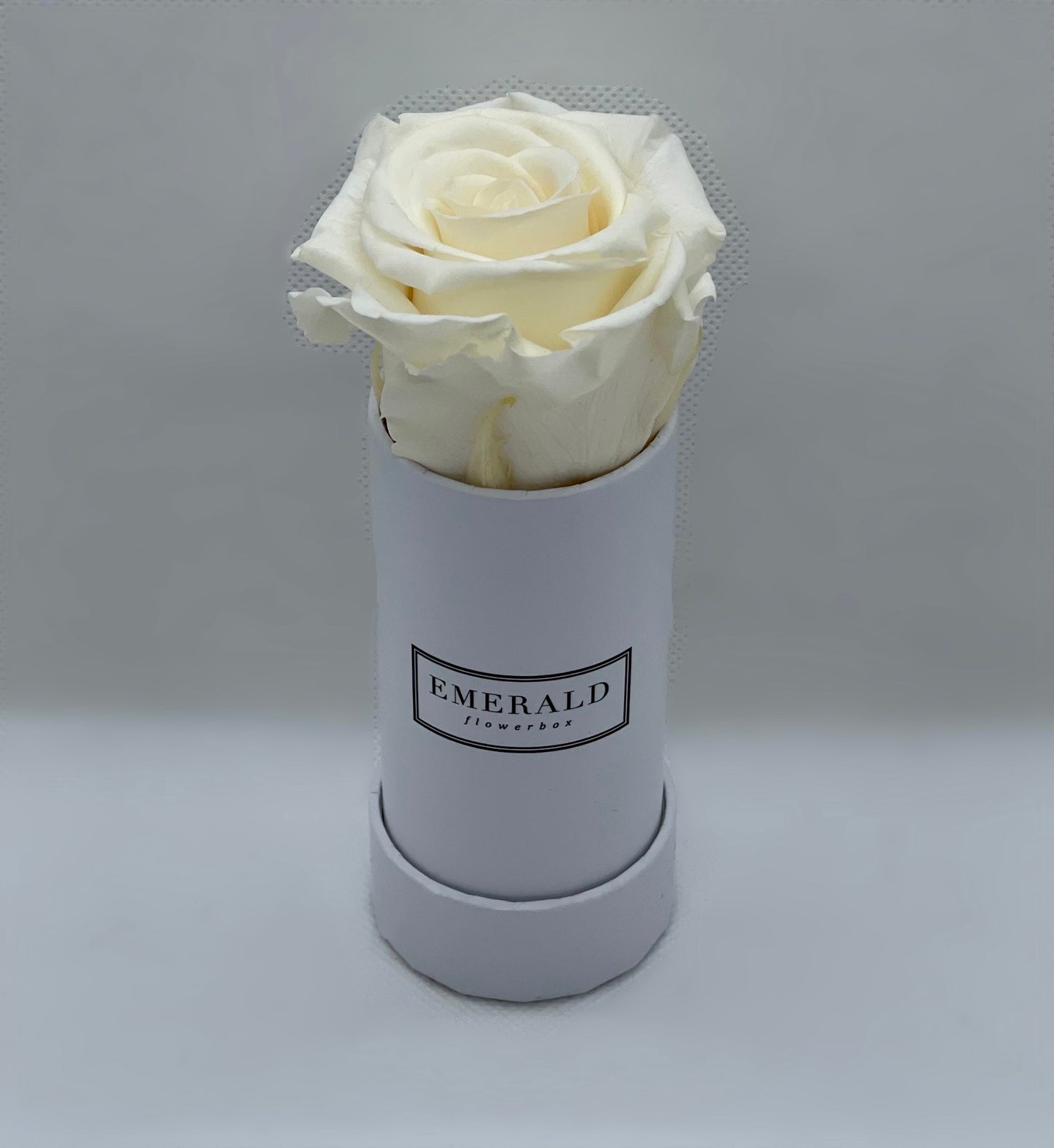 Bouquet de Rosas Preservadas Champanhe