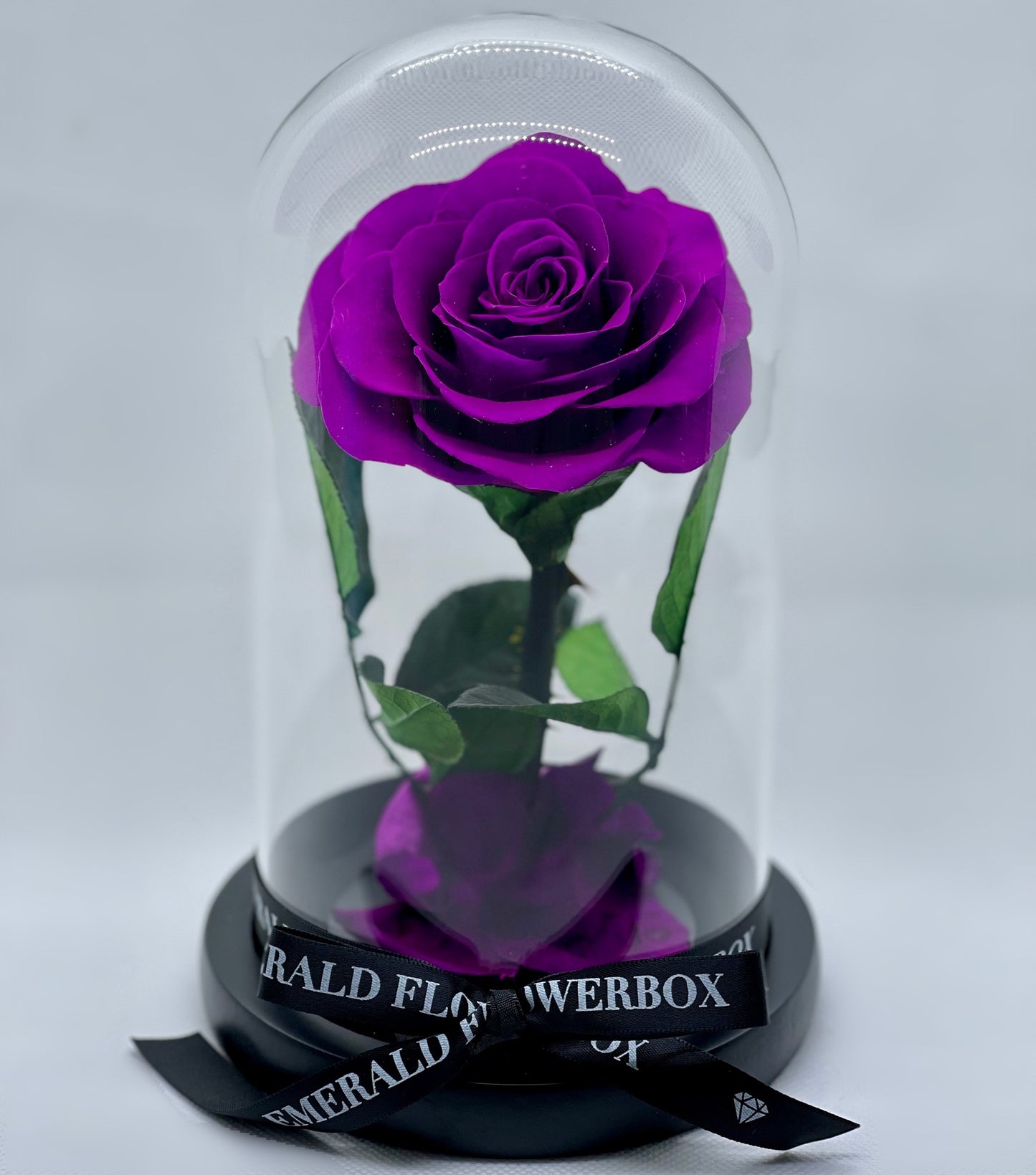 Purple Amethyst Beauty & the Beast