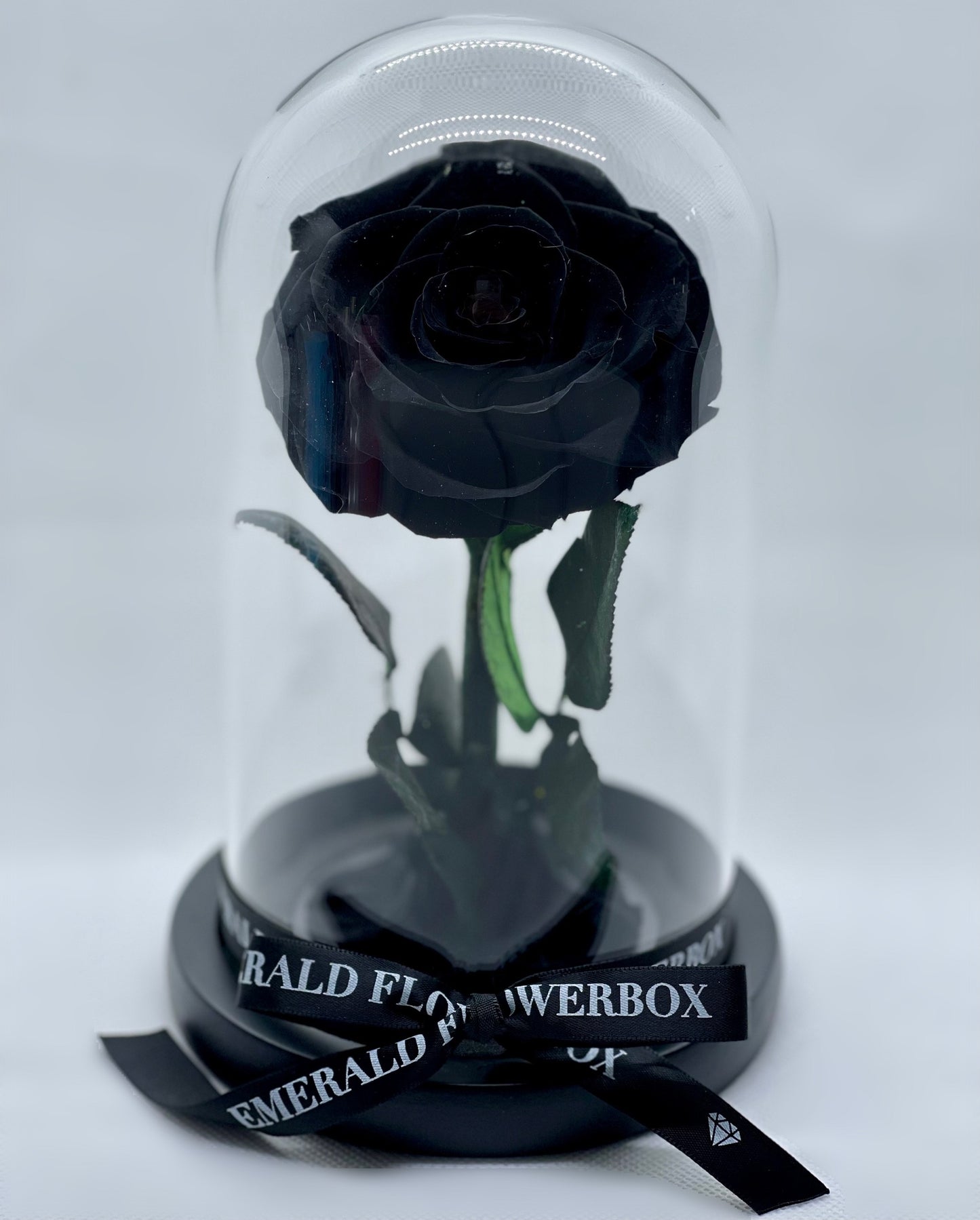 Black Onyx Beauty & the Beast