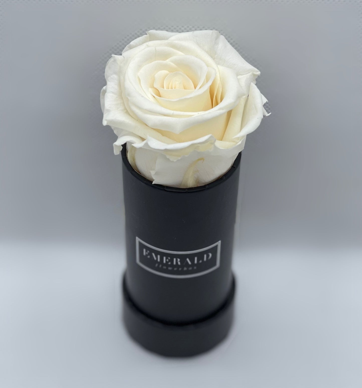 Bouquet de Rosas Preservadas Champanhe