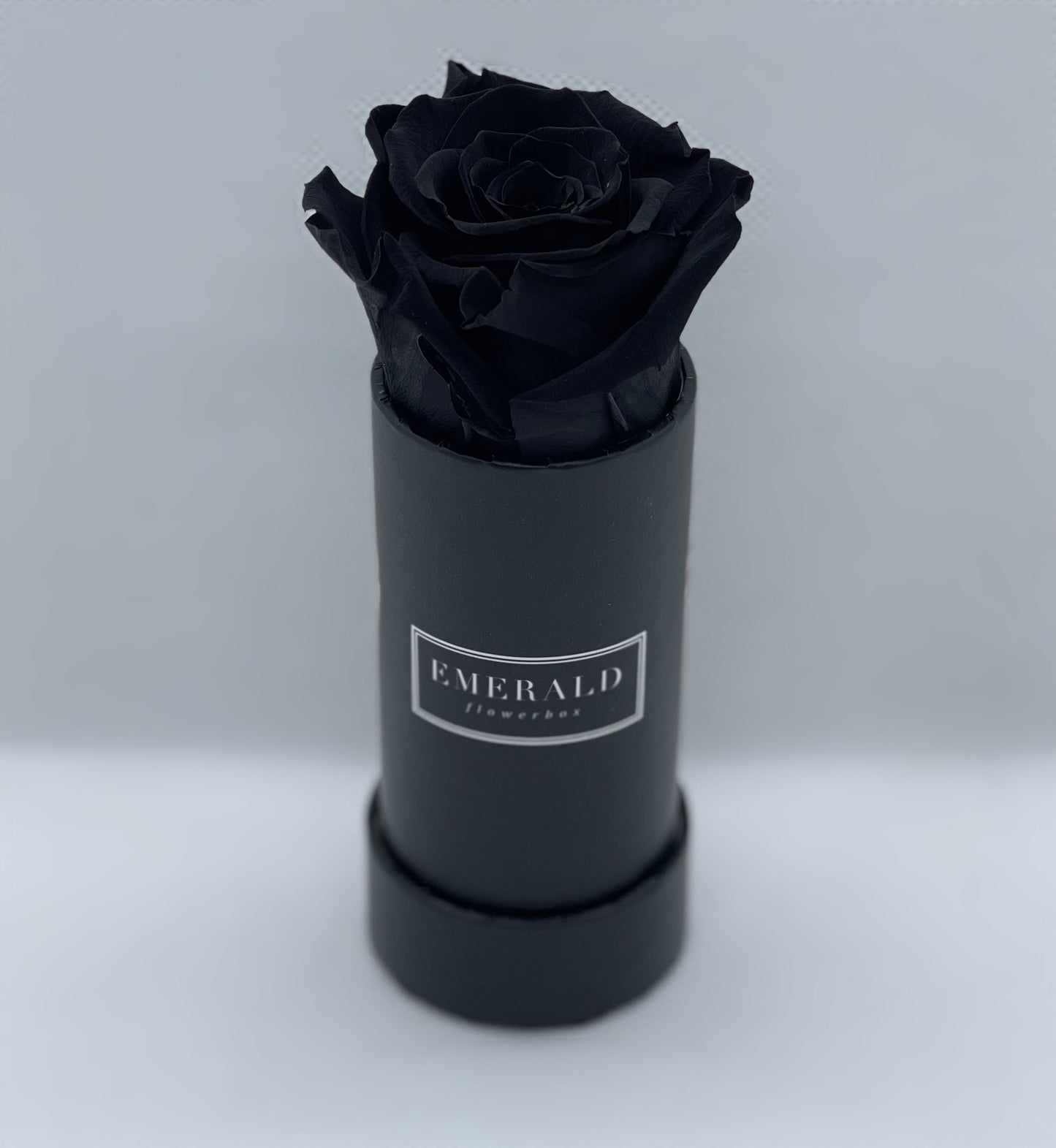 Bouquet de Rosas Preservadas Pretas