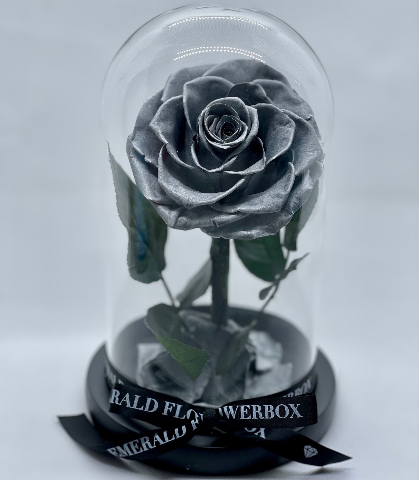 Silver Beauty & the Beast