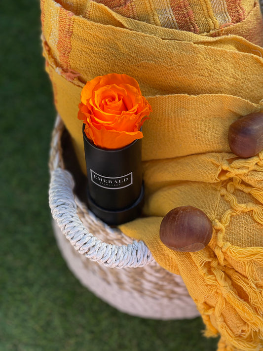 Orange Sapphire Round Edition Mini