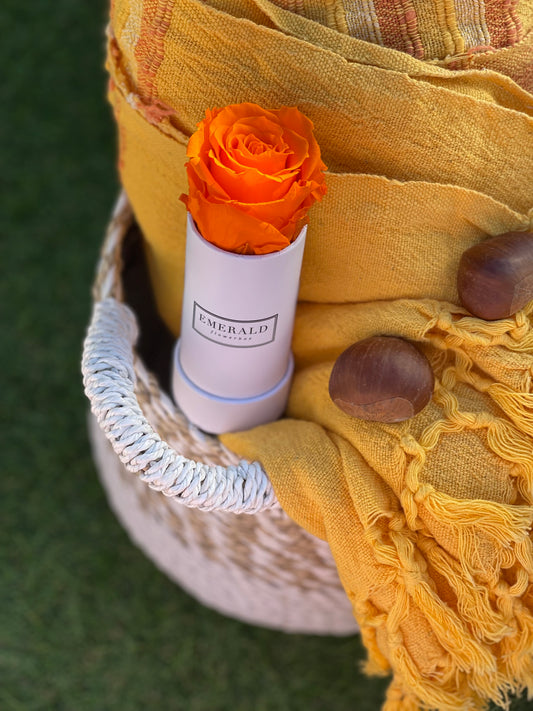 Orange Sapphire Round Edition Mini