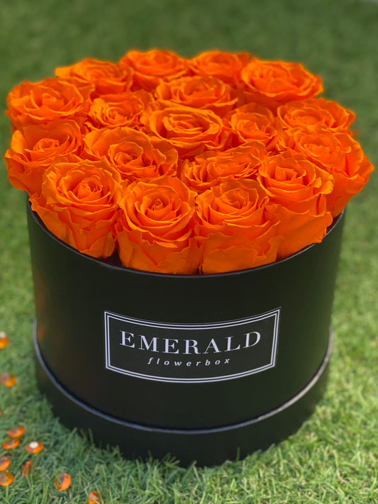 Orange Sapphire Round Edition Large
