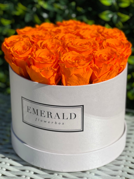 Orange Sapphire Round Edition Large
