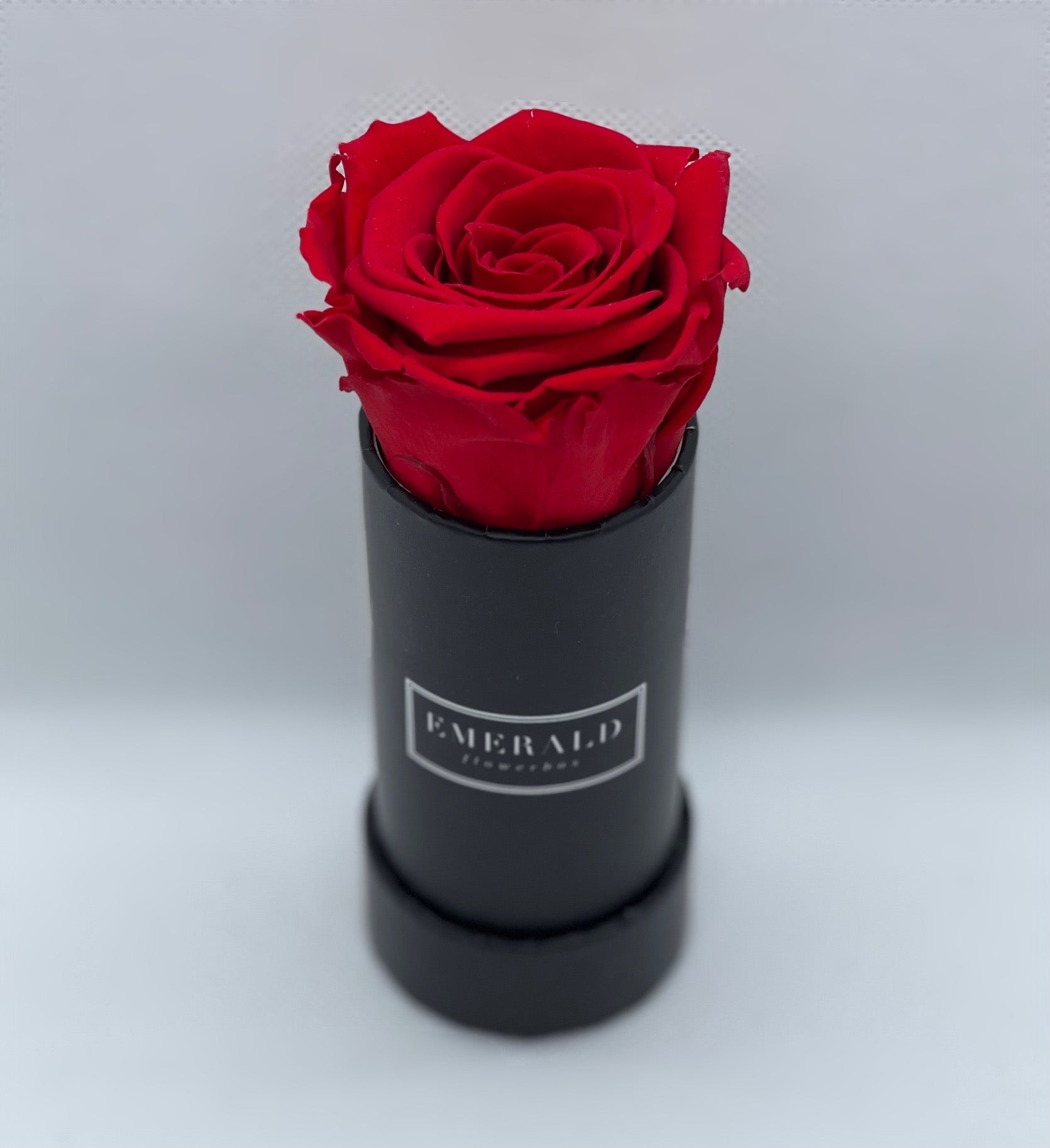 Bouquet de Rosas Preservadas Vermelhas  Editar texto alternativo