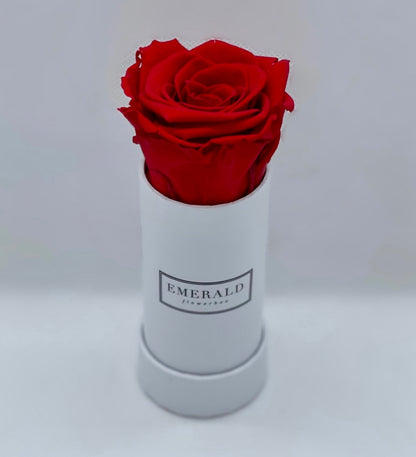 Bouquet de Rosas Preservadas Vermelhas Emerald Flowerbox