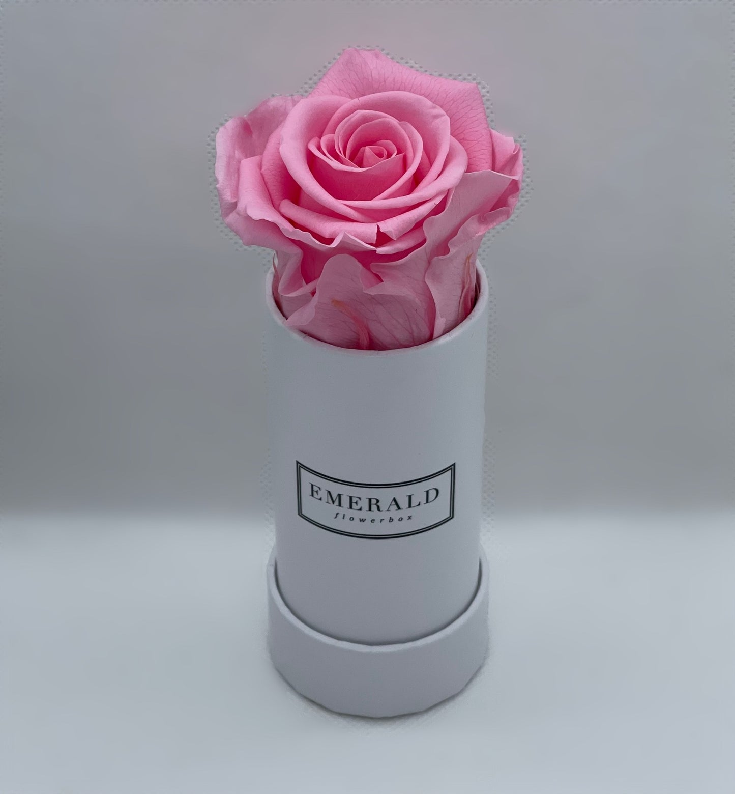 Bouquet de Rosas Preservadas Cor de Rosa