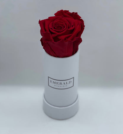 Bouquet de Rosas Preservadas Bordô