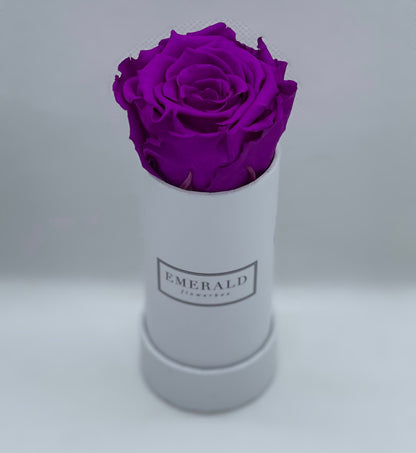Bouquet de Rosas Preservadas Roxas