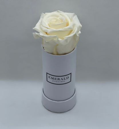 Bouquet de Rosas Preservadas Champanhe