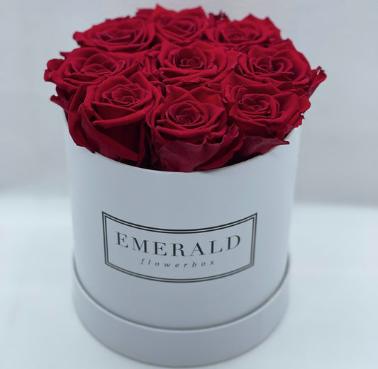 Bouquet de Rosas Preservadas Bordô