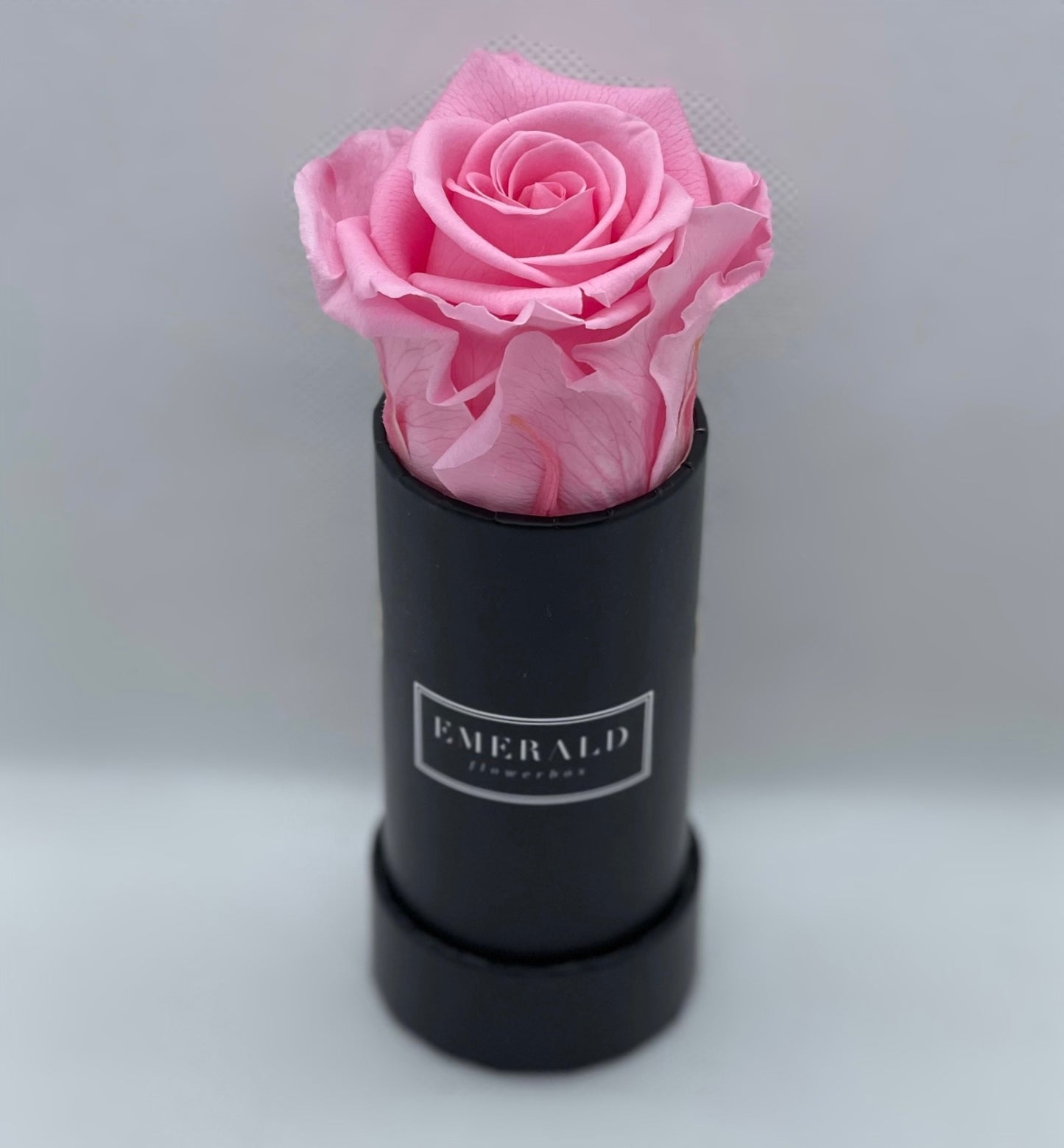 Bouquet de Rosas Preservadas Cor de Rosa