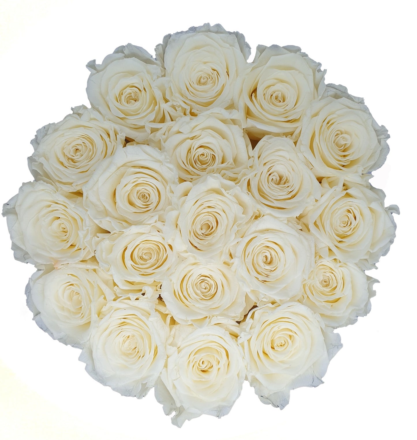 Flowerbox de Rosas Preservadas Champanhe com Bombons Ferrero Rocher®